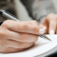 Theo em, những cây cau có gì đặc biệt?