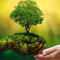 Cảm nhận của bạn về tâm hồn Nguyễn Trãi qua những bài thơ viết về thiên nhiên