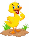 Look at the picture and match