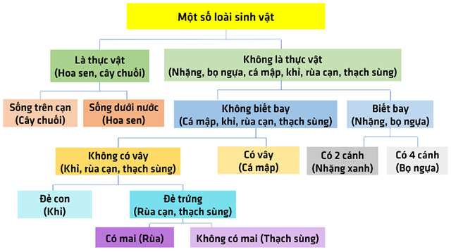 Xây dựng khóa lưỡng phân
