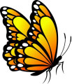 Look at the picture