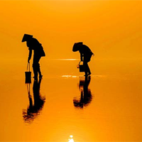 Văn mẫu lớp 12: Suy nghĩ về tinh thần vượt khó trong cuộc sống