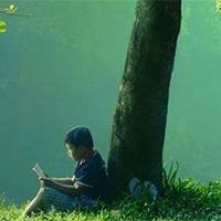 Dàn ý phân tích Dưới bóng hoàng lan (4 Mẫu)