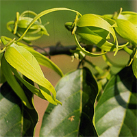 Tìm một vài hình ảnh trong văn bản thể hiện sự đan xen giữa quá khứ và hiện tại