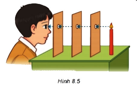 Hình 8.5