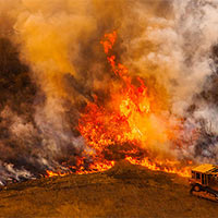 Cách làm bài Nghị luận về một hiện tượng đời sống