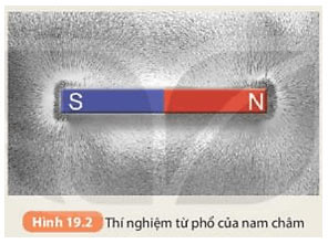 Hình 19.2