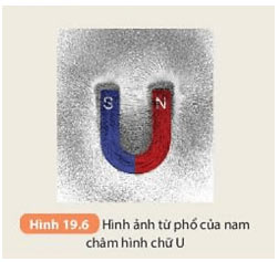Hình 19.6