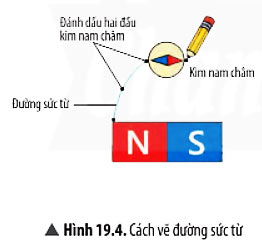 Hình 19.4