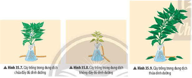 Hình 35.10