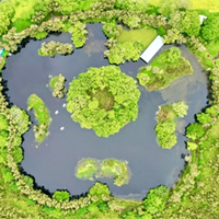 Văn mẫu lớp 10: Phân tích Thiên nhiên và con người trong Đất rừng phương Nam (Dàn ý + 3 Mẫu)