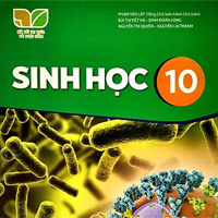 Bộ đề thi giữa học kì 2 môn Sinh học 10 năm 2024 - 2025 sách Kết nối tri thức với cuộc sống