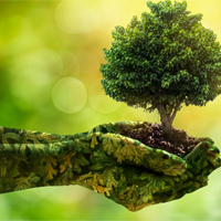 Tiếng Anh 10 Unit 9: Getting Started