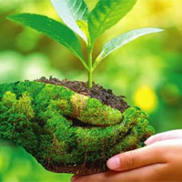 Tiếng Anh 10 Unit 9: Language