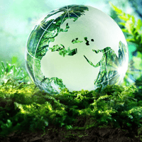 Suy nghĩ của em về tác động của biến đổi khí hậu ở vùng miền em đang sống