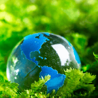 Đoạn văn với câu Em mong sự sống và môi trường trên Trái Đất khôi phục nhịp điệu hài hòa và vẻ đẹp vốn có của nó