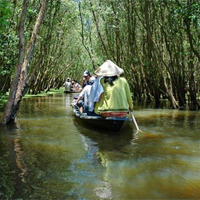 Văn mẫu lớp 10: Dàn ý phân tích bài thơ Đi trong hương tràm