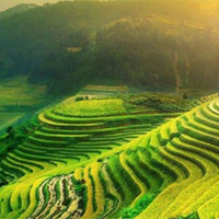 Viết một đoạn văn trong đó có sử dụng biện pháp liệt kê và chêm xen (7 Mẫu)