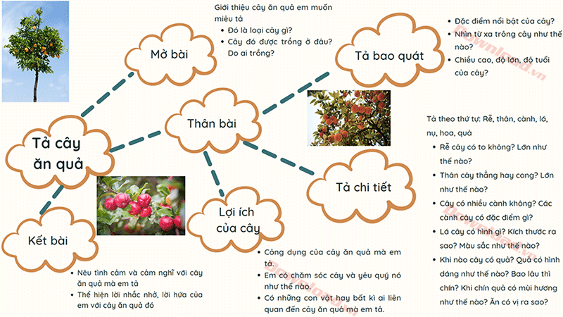 Tả cây ăn quả