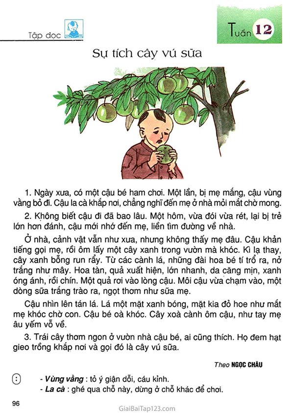 Sự tích cây vú sữa