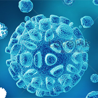 Đề cương ôn tập giữa học kì 2 môn Sinh học 10 sách Chân trời sáng tạo