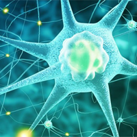 Đề cương ôn tập giữa học kì 2 môn Sinh học 11 năm 2024 - 2025 (Sách mới)