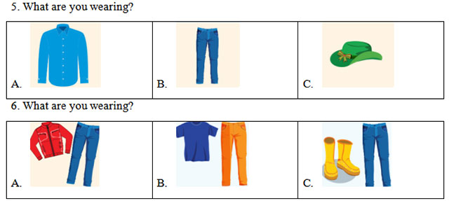 Listen and choose the correct answer