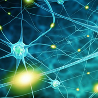 Bộ đề thi học sinh giỏi môn Sinh học 8