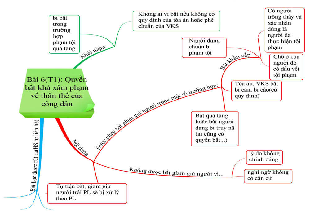 Trắc nghiệm Giáo dục công dân 12 Bài 6 Trắc nghiệm Công dân với các quyền tự do cơ bản