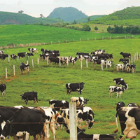 Công nghệ 7: Ôn tập Chủ đề 2