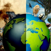 Hoạt động trải nghiệm 7: Hiệu ứng nhà kính