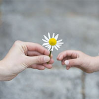 Dàn ý Nghị luận về lòng biết ơn (Sơ đồ tư duy + 5 mẫu)