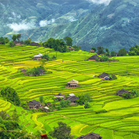 Tiếng Anh 10 Unit 10: Communication and Culture