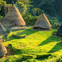 Tiếng Anh 10 Unit 10: Getting Started