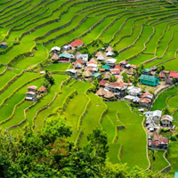 Tiếng Anh 10 Unit 10: Writing