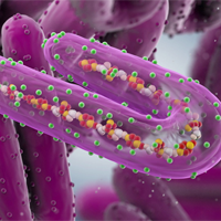 Sinh học 10 Bài 21: Trao đổi chất, sinh trưởng và sinh sản ở vi sinh vật