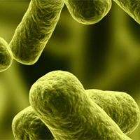 Sinh học 10 Bài 31: Virus gây bệnh