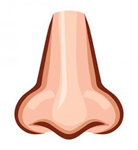 Look at the picture and complete the words