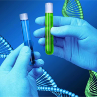 Đề cương ôn tập học kì 2 môn Sinh học 10 sách Chân trời sáng tạo