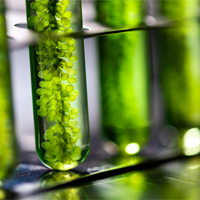 Bộ câu hỏi trắc nghiệm môn Hóa học 12 học kì 2