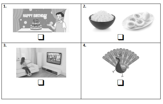 Listen and write Y (Yes) or N (No)