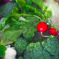 Văn mẫu lớp 12: Đoạn văn suy nghĩ về việc sử dụng thuốc bảo vệ thực vật trong trồng trọt hiện nay