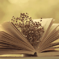 Dàn ý cảm nghĩ về người thân yêu (8 mẫu) 