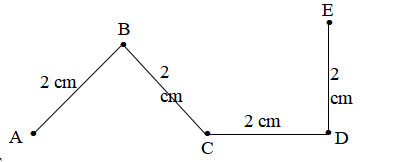 Câu 8