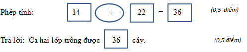 Câu 9