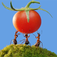 Đoạn văn nghị luận về sự nỗ lực trong cuộc sống (10 mẫu)