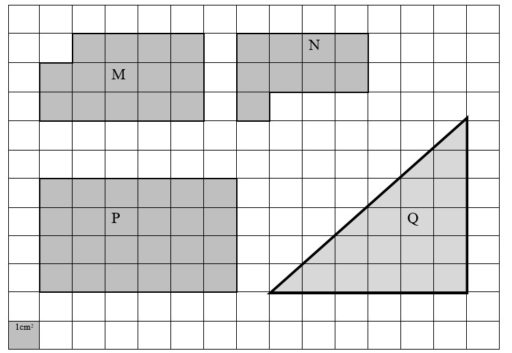 Bài tập cuối tuần lớp 3 môn Toán Cánh Diều