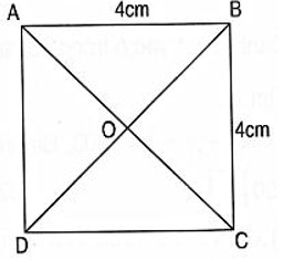 Bài tập cuối tuần lớp 3 môn Toán Cánh Diều