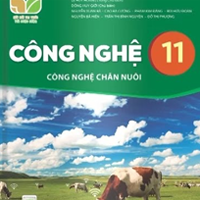 Kế hoạch dạy học môn Công nghệ 11 sách Kết nối tri thức với cuộc sống