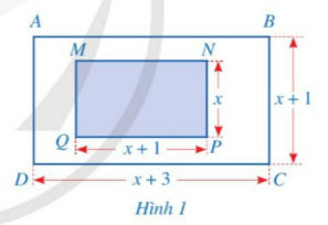 Bài 5